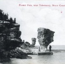 Flower pots near Tobmermory, Bruce County, Ont.